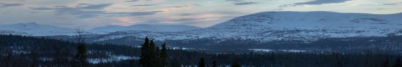 Skarvruets Hoegfjaellshotell Tänndalen 外观 照片